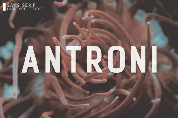 Antroni Font for Creative Projects