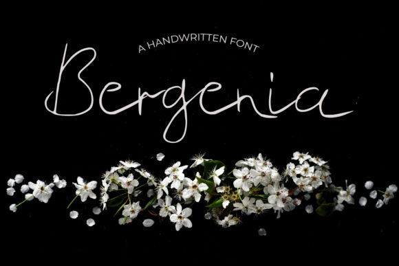 Bergenia Font Review