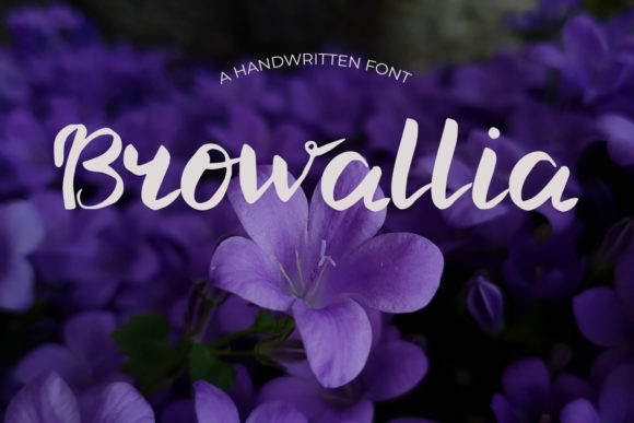 Browallia: A Delicate Script Font