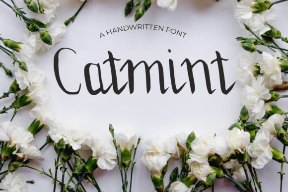 Catmint Font Review