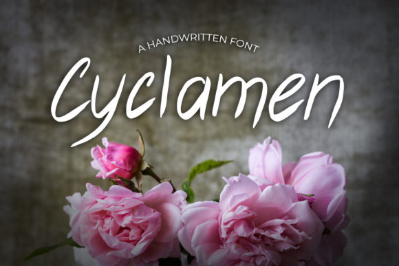 Cyclamen Font for Web Design